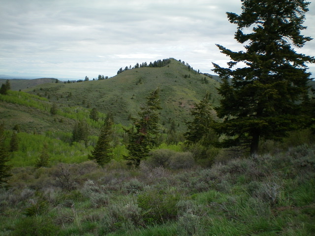 Peak 7042 as viewed from the northwest ridge of Peak 7283 to its south. Livingston Douglas Photo