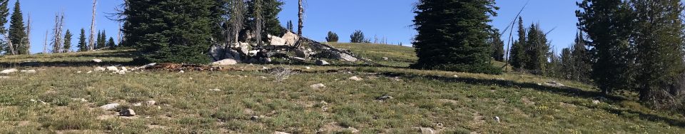 Looking north to the summit of Little Baldy.