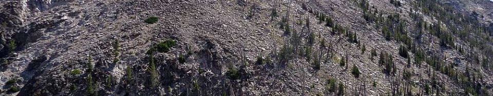 Waterfall Creek Peak looking up the northwest ridge. Dave Pahlas Photo