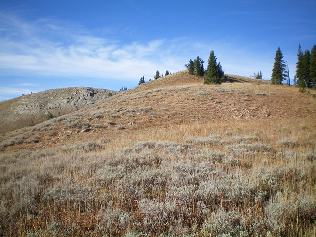 The final push to the top of the northeast ridge of Peak 9285. The summit is the hump on the left. Livingston Douglas Photo