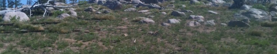 Bear Valley Mountain summit contains one of the scariest fire lookouts I have visited.