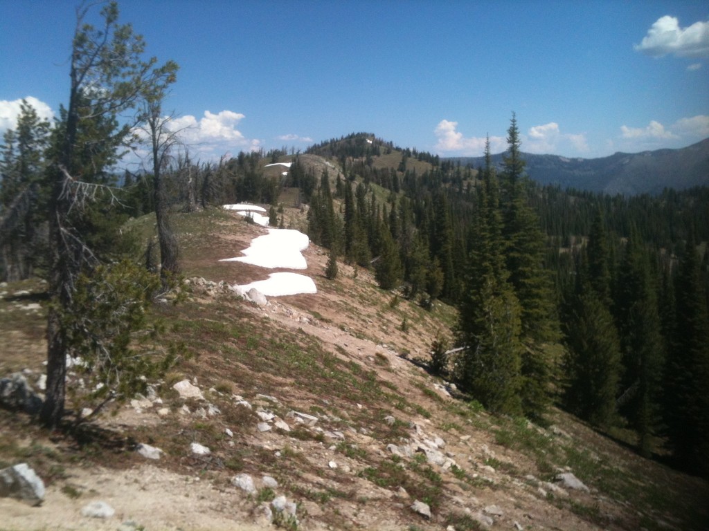 Approaching the summit. The hike to Blue Bunch Mountain leads through thick forest and then terrain speckled with meadows and finally to a high ridgeline.