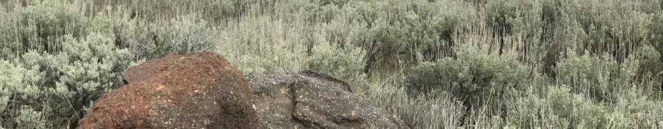 This small pile of rocks is arguably the highest point on the peak but it is not necessarily the highest point in Lincoln County.