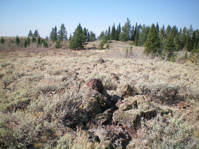 Looking west-northwest at the west summit of Sheep Mountain (left of center) from the east summit. Which one is higher? Livingston Douglas Photo