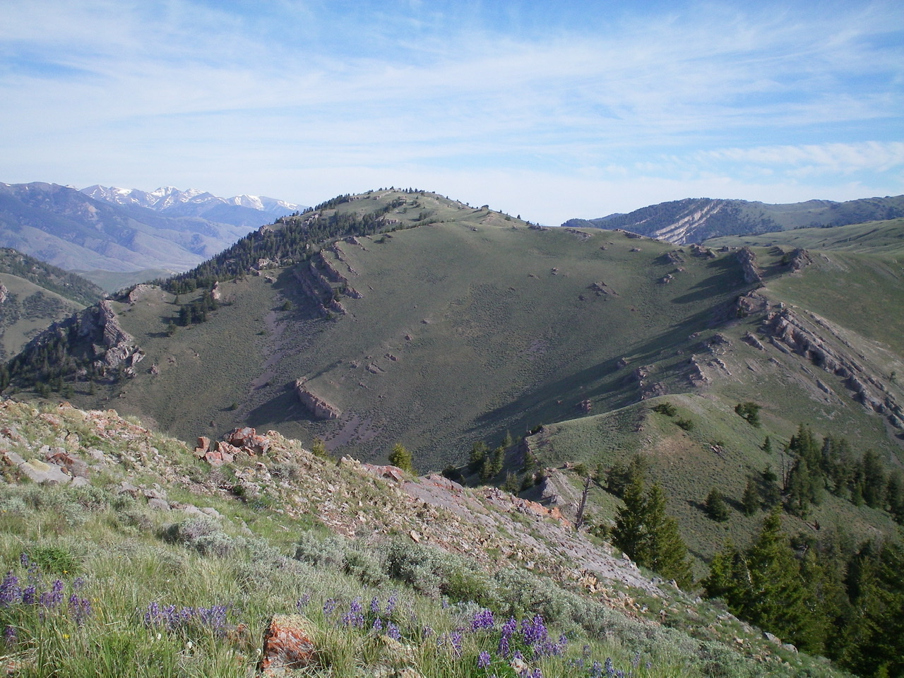 Peak 8603 (far left), its Southeast Ridge (leading up to it from the right), and the rocky South Segment of the ridge (right of center) coming up from the connecting saddle with Peak 8383. Viewed from the summit of Peak 8383. Livingston Douglas Photo