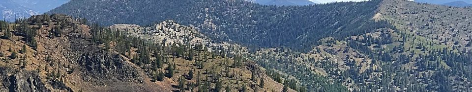 Peak 9187, the highest Yellowjacket summit viewed from Middle Fork Peak and over the shoulder of Peak 9101.