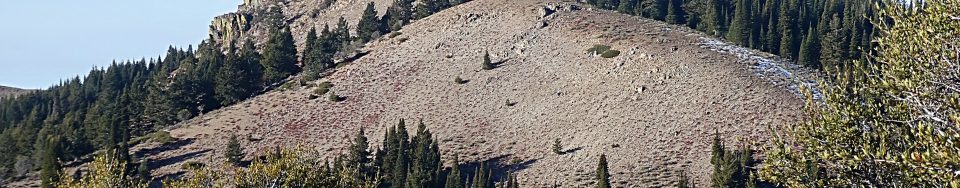 The north ridge of Peak 8021.