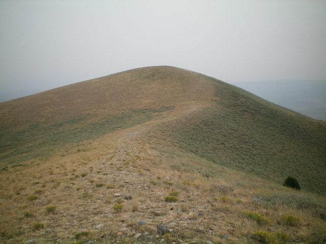 The summit hump of Paul Benchmark as viewed from Point 8499 to its southwest. Livingston Douglas Photo