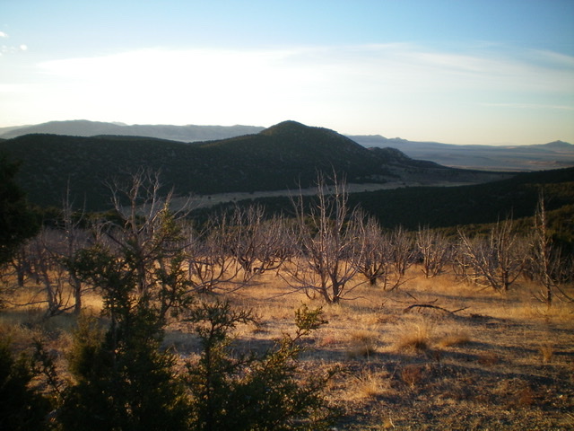 Stone Hills HP (summit is in dead center) as viewed from high on the southeast ridge of Peak 5550 to its northwest. Livingston Douglas Photo