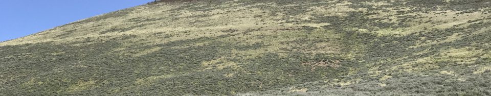 West Twin Peak viewed from the southwest along the East Fork Clover Creek.
