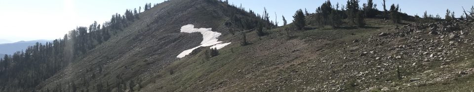 The upper slopes of Mount Eldridge.