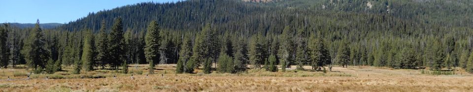 Pete Creek Peak viewed from the southeast. John Platt Photo
