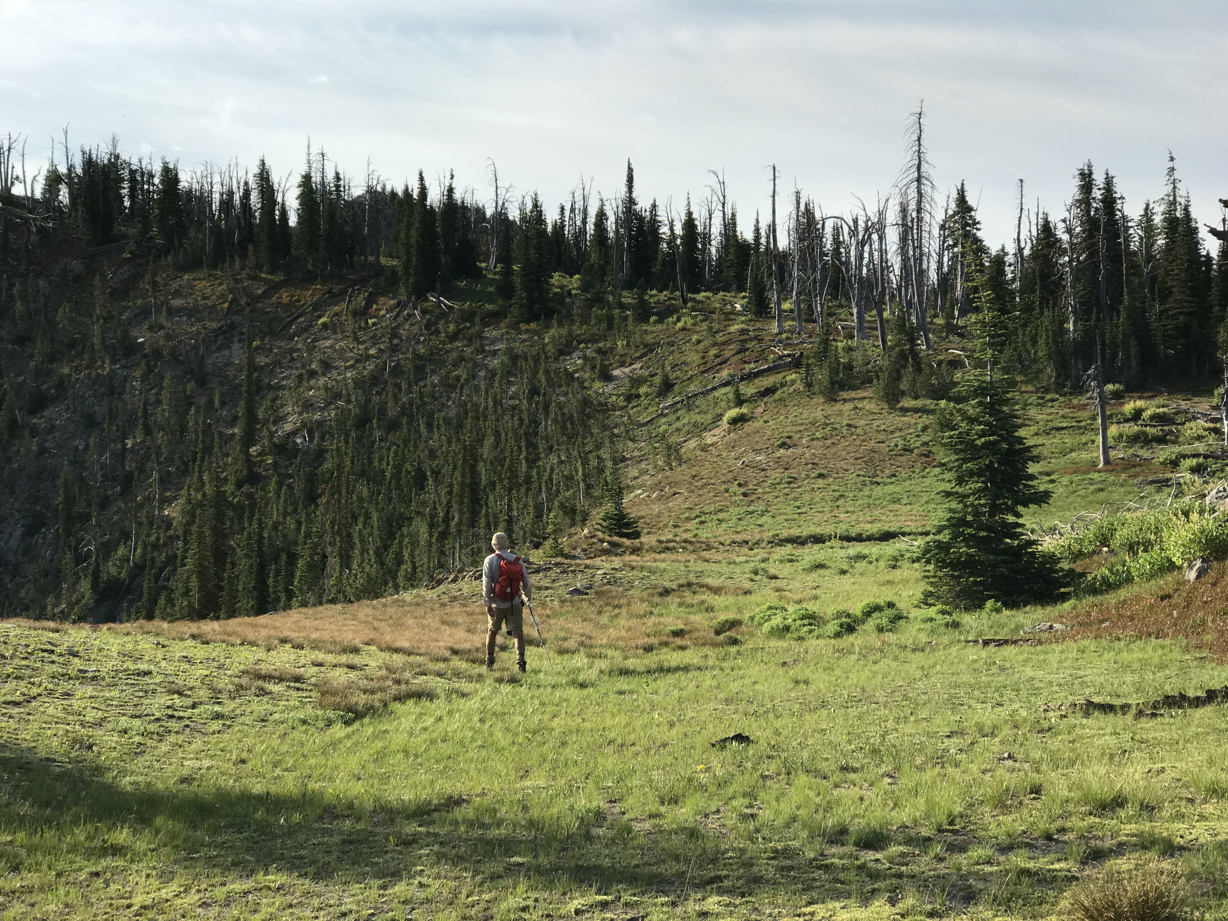 Looking east toward the summit from the point where the trail reaches the ridge above Josephine Lake.