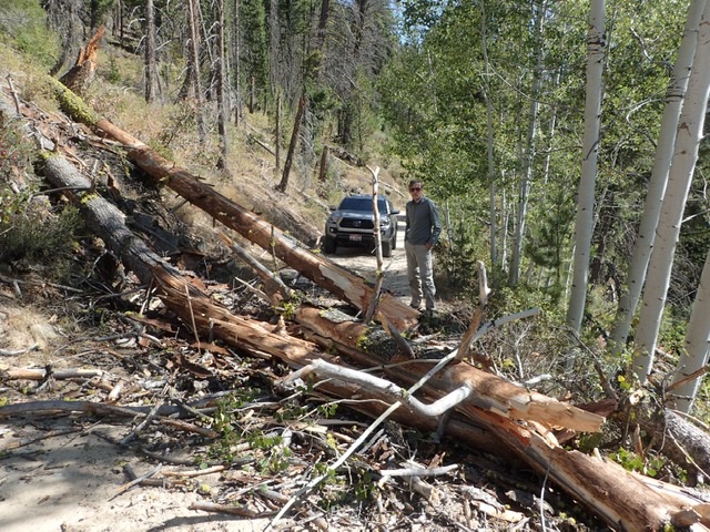 Be prepared! Judi Steciak reports this “picture was the worst of the deadfall that we cleared off the road into Josephus Lake.” Judi Steciak Photo