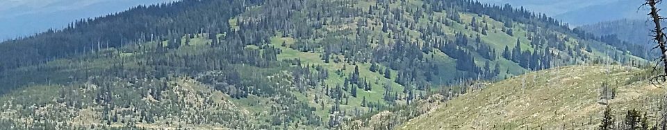 Buck Mountain viewed from Peak 7740.