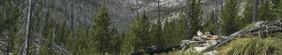 The northern summit of Steamboat viewed from the trail.