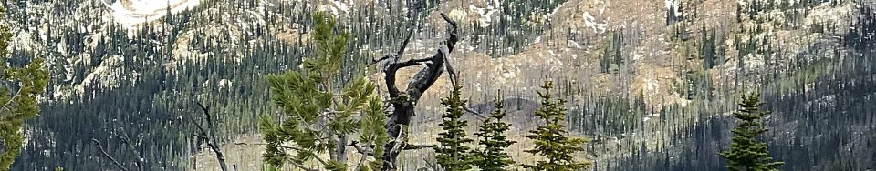 Peak 8569 viewed from the east.