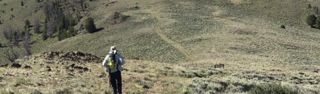 Peak 9463 viewed from the north.