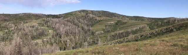 Samaria Mountain viewed from the east.