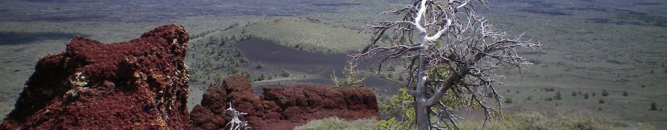 Half Cone as viewed from the summit of Big Cinder Butte. The peak is just left of the tree in the photo. Livingston Douglas Photo