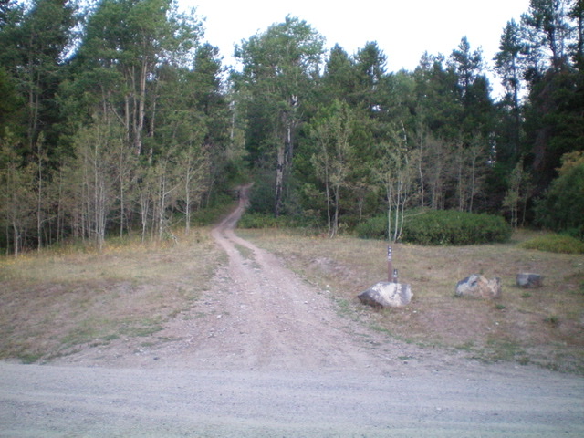 The start of FST-294 (an ATV trail) and the short hike up to the summit area of Windy Ridge. Livingston Douglas Photo