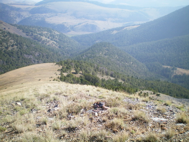 Looking down the magnificent northeast shoulder of Dianes Peak from its juncture with the north ridge. Livingston Douglas Photo