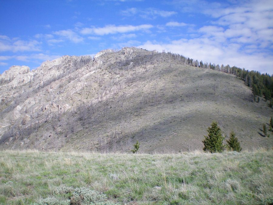 Peak 9085 as viewed from Saddle #1 at the head of Spring Canyon. The summit is the hump in the center of the photo. The rugged towers of the Southwest Ridge are to the left of the summit hump. Livingston Douglas Photo
