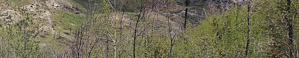 Raspberry Peak. Erik Pohlmann Photo