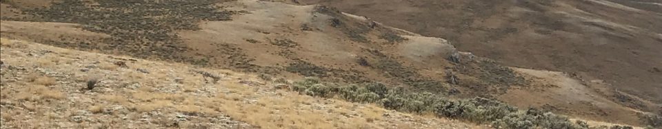 Peak 8686. Steve Mandella photo.