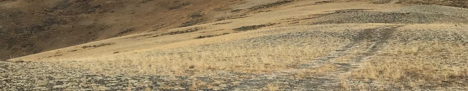 Peak 8726. Photo Steve Mandella