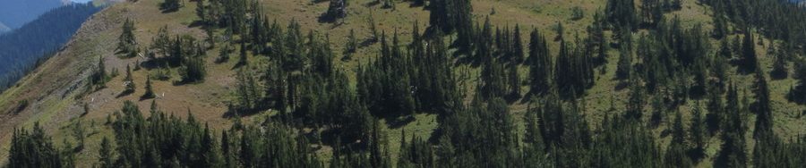 Peak 8692. Steve Mandella photo.