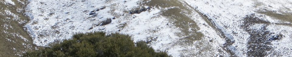 Peak 6990 from Peak 7194. Steve Mandella photo.