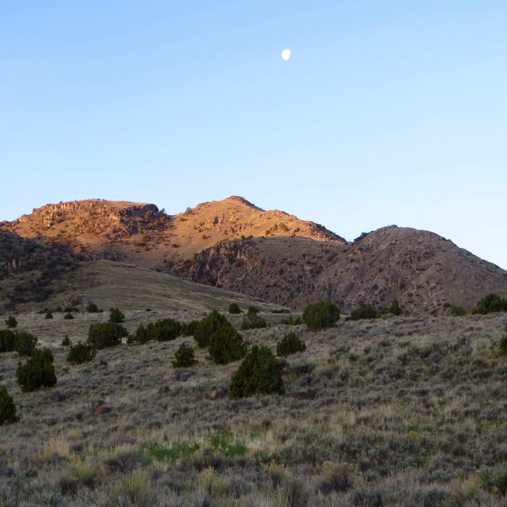 Peak 7333 from camp. Steve Mandella photo.