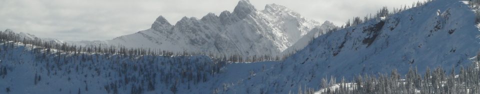The Pinnacles. November 2016. John Platt Photo
