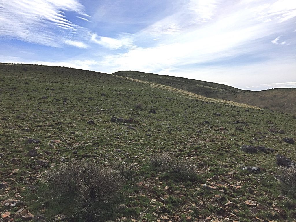 Peak 4767 from the west.