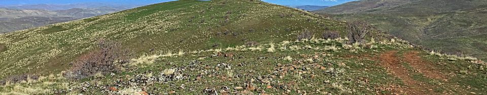 Peak 4767 viewed from its southern summit, the Payette County High Point.
