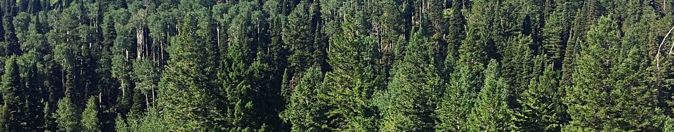 Peak 7800 from the slopes of Peak 7834.