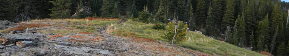 The summit area. Mike Hays Photo