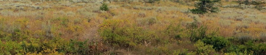 The view of Peak 7834 from the saddle. Steve Mandella photo.