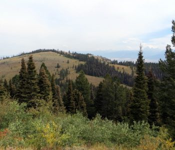 Squirrel Mountain from Peak 7906