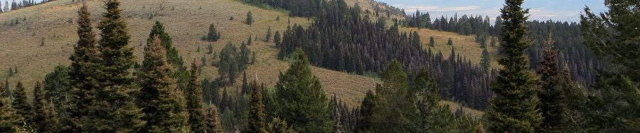 Squirrel Mountain from the summit of Peak 7906. Steve Mandella Photo.