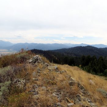 The summit of Squirrel Mountain. Steve Mandella Photo.