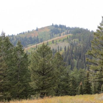 Peak 7906 from Squirrel Mountain. Steve Mandella Photo.