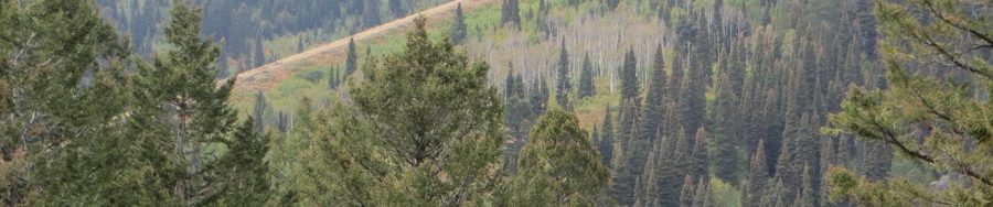 Peak 7906 from Squirrel Mountain. Steve Mandella Photo.
