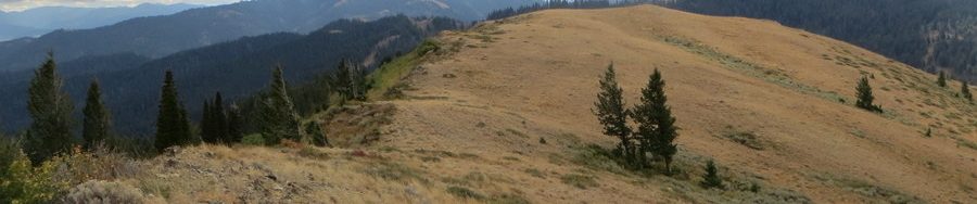 Mt. Manning's gentle summit ridge. photo - Steve Mandella