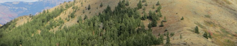 Peak 8037 Southeast of Scout Mountain