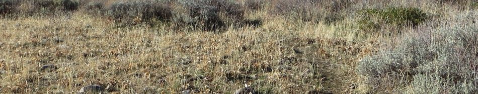 Peak 7060, Bannock County. Photo - Steve Mandella