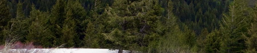 Peak 7232 with South Putnam Peak in the background. Photo - Steve Mandella