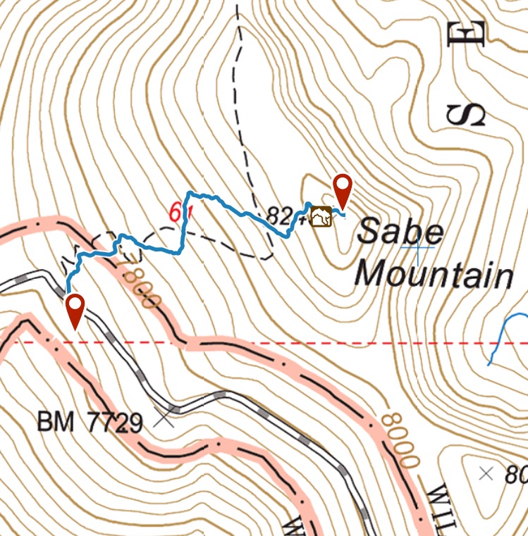 My GPS track. I followed the trail until right below the summit.