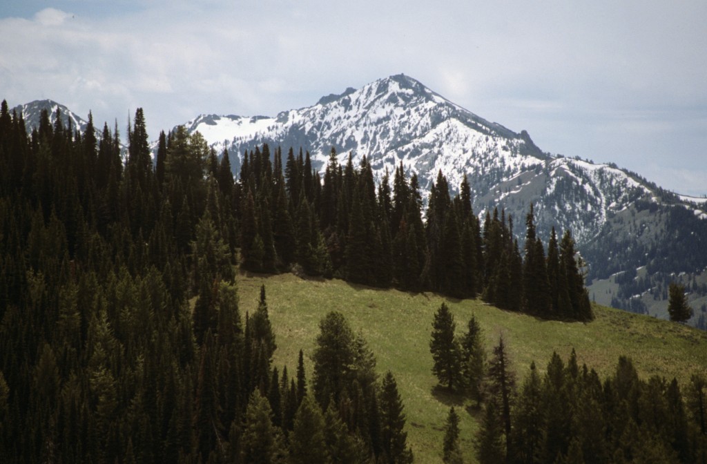 Iron Mountain from Jumbo Mountain.